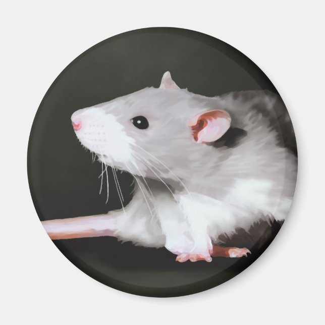 Íman Pintura de rato fofo (Frente)