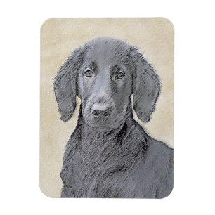 Íman Pintura De Retriever Revestida Plana - Arte De Cã