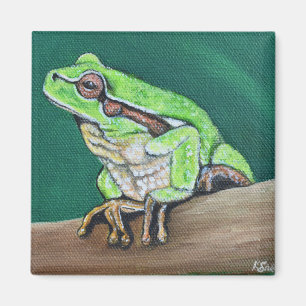 Íman Pintura de Sapo de Árvore