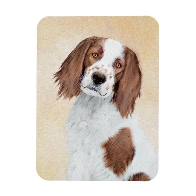 Íman Pintura de Setores Vermelho e Branco Irlandês - Ar (Vertical)