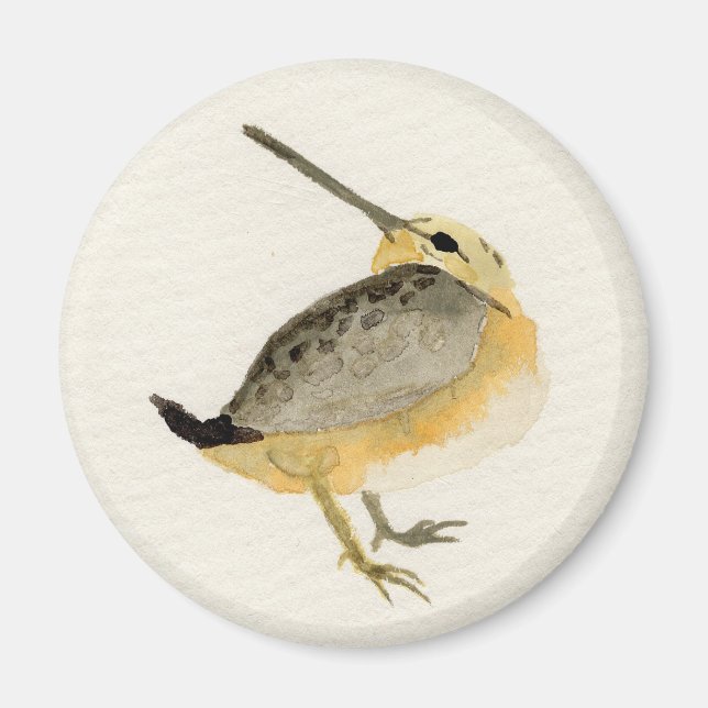 Íman Pintura de Timberdoodle da aguarela (Frente)