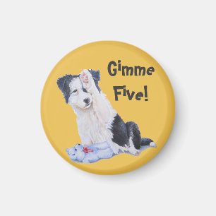 Íman pintura de um cão com pintura de collie fofo de bo