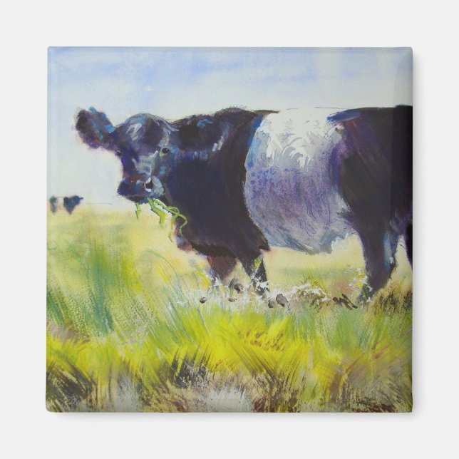 Íman Pintura de Vaca Galloway Belga (Frente)