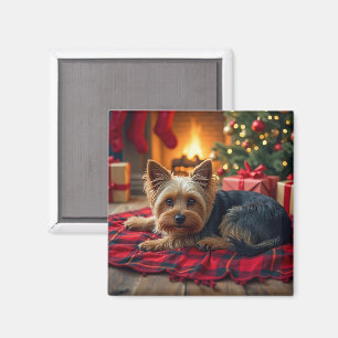 Íman Pintura de Yorkshire Terrier numa Aconchegante Noi