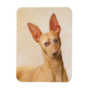 Íman Pintura do Cirneco dell’Etna - Arte do Cachorro Or