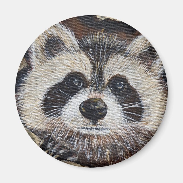 Íman Pintura do Raccoon (Frente)