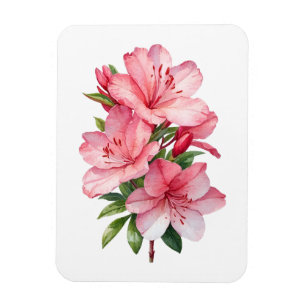 Íman Pintura em aquarela de flor de azálea