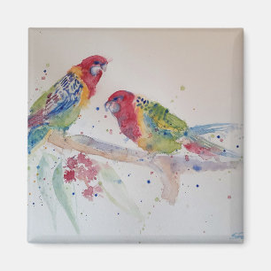 Íman Pintura em Aquarela de Papagaio Rosella Vermelho