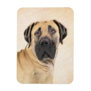 Íman Pintura em Boerboel - Arte Cachorro Original Bonit