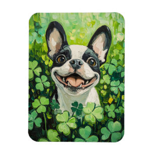 Íman Pintura em campo de trevo de Boston Terrier