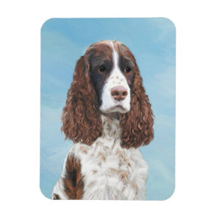 Íman Pintura em inglês Springer Spaniel original
