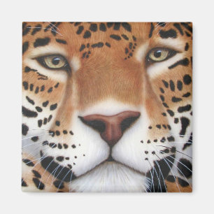 Íman Pintura em Jaguar