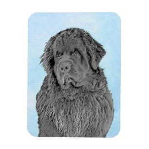 Íman Pintura em Newfoundland - Arte Cão Original Bonit