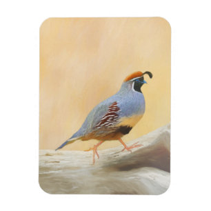 Íman Pintura em Quail de Gambrel — Arte original sobr