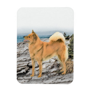 Íman Pintura em Seashore - Arte Canina