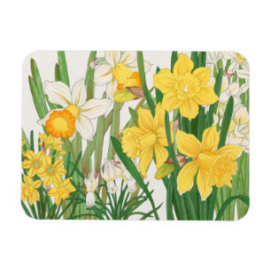 Íman Pintura em Xilogravura de Narciso, Tanigami Kônan,