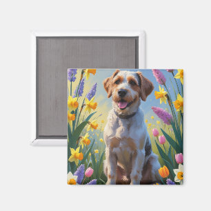 Íman Pintura Flores da Primavera do Griffon de Cabelo D