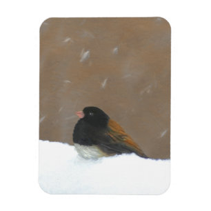 Íman Pintura Junco De Olhos Escuros - Arte De Pássaro