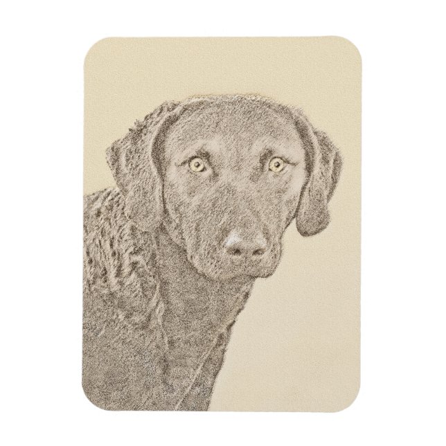 Íman Pintura Original para Cão na Baía de Chesapeake Re (Vertical)