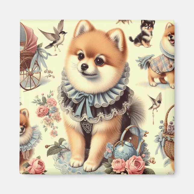 Íman Pintura Pomeraniana Cuja (Frente)