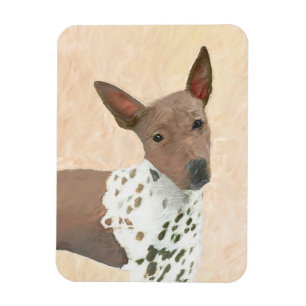 Íman Pintura Terrier sem cabelos americana - Arte canin