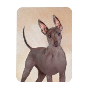 Íman Pintura Xoloitzcuintli - Arte Cão Original Cute