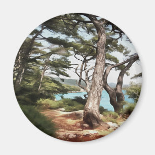 Íman Pinus pínus pinus pinus pintura florestal