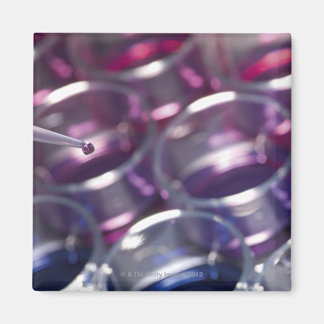 Íman Pipeta e placas de Petri com fluidos (Frente)