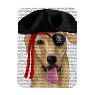 Íman Pirata Amarelo Labrador 2