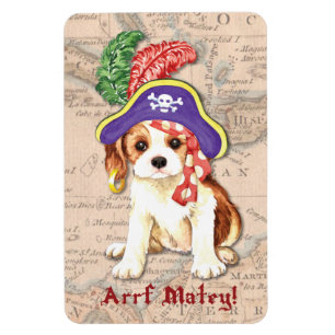 Íman Pirata Cavalier