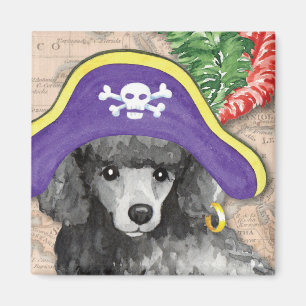 Íman Pirata da caniche diminuta