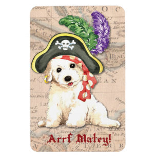 Íman Pirata de Bichon Frise