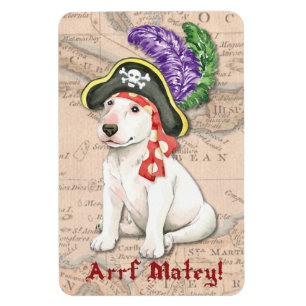 Íman Pirata de bull terrier