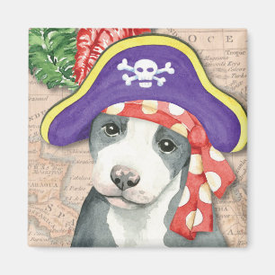 Íman Pirata de Terrier de pitbull