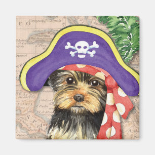 Íman Pirata de Yorkie