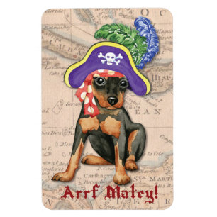 Íman Pirata do Pinscher diminuto