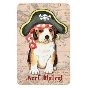 Íman Pirate Hat Beagle