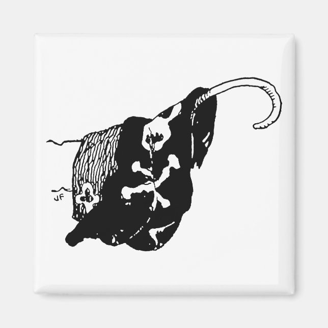 Íman Pirate Hook (Frente)