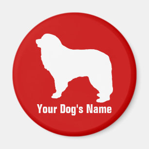 Íman Pirenéus excelentes グ Equipe ト ・ ピ レ Eq