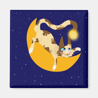 ÍMAN PISANDO NA LUA