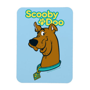 Íman Pisc de Scooby-Doo