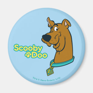 Íman Pisc de Scooby-Doo