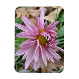 Íman Piscar os olhos rosa