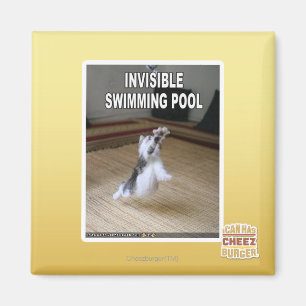 Íman Piscina invisível