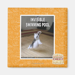 Íman Piscina invisível