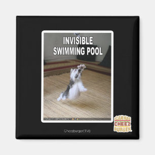 Íman Piscina invisível