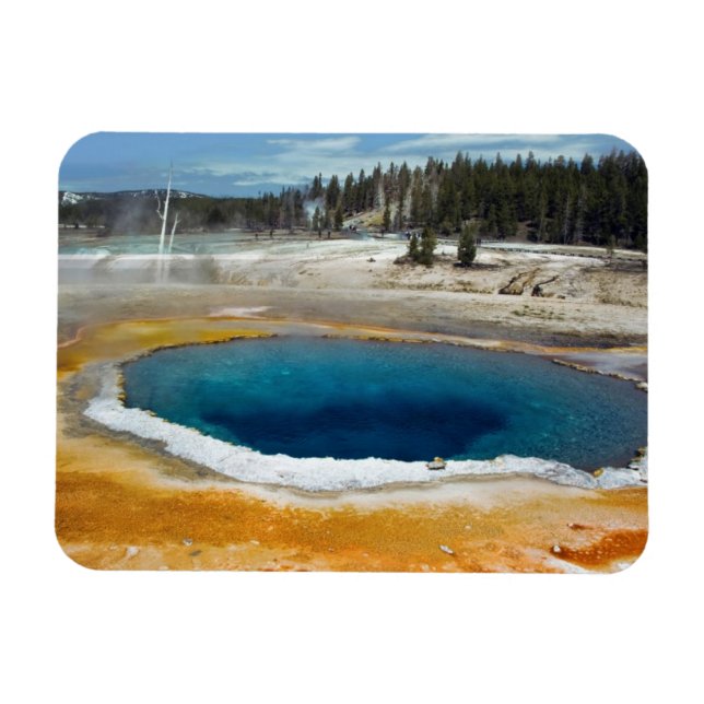 Íman Piscina óptica (Horizontal)