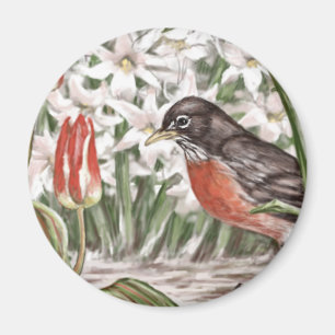 Íman Pisco de peito vermelho e pintura vermelha das