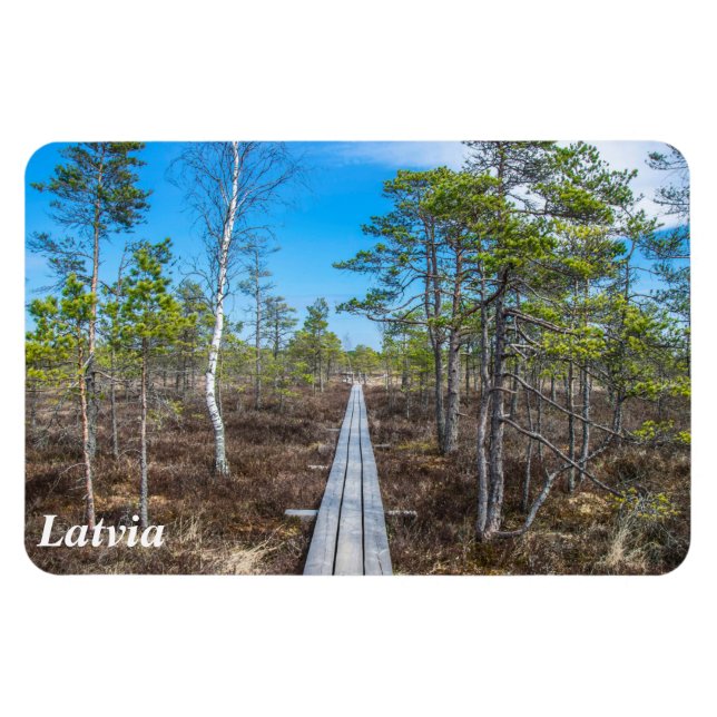 Íman Pista de madeira sobre íman (Horizontal)