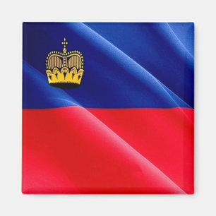 Íman PISTA de ondas zLI002 LIECHTENSTEIN - Imã de gelad